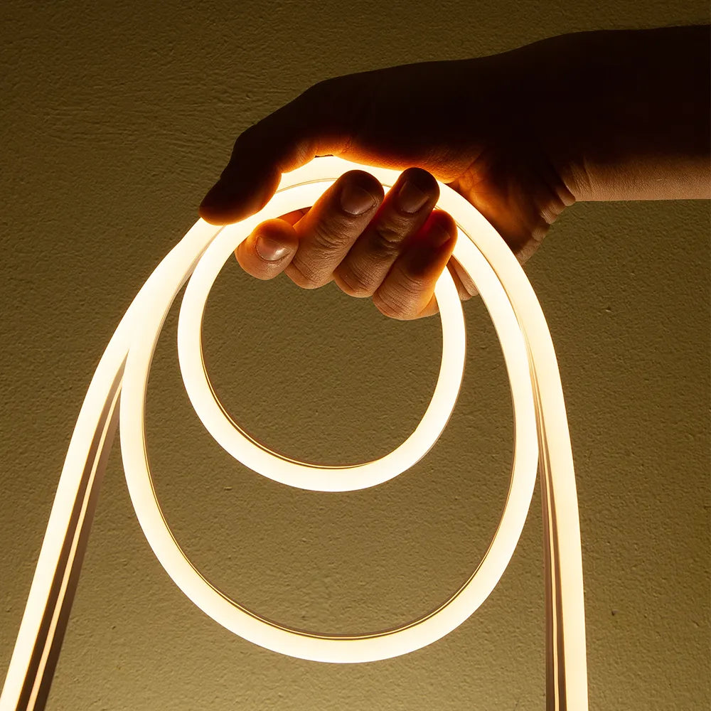 Is Neon Flammable?