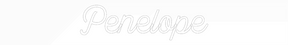 Custom Neon: Penelope