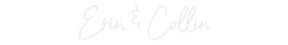 Custom Neon: Erin & Collin
