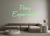Custom Neon: Pony 
Experi...