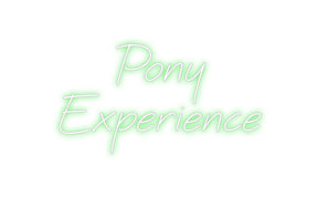 Custom Neon: Pony 
Experi...