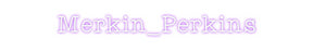 Custom Neon: Merkin_Perkins
