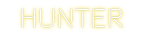 Custom Neon: Hunter