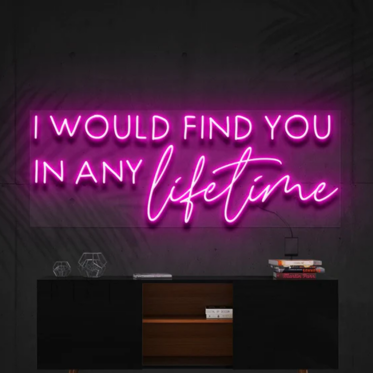 I Would Find You in Any Lifetime